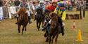 Children riding Shetland ponies in a race at the Royal Isle of Wight County Show, what's on, event