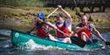 New Forest Activities Team Building