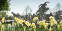 Springtime at Waddesdon Manor, Aylesbury