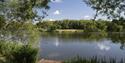 Goldsworth Lake, Woking