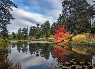 Bedgebury National Pinetum & Forest