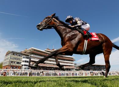 Newbury Racecourse