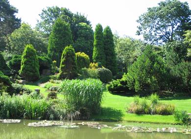 The Pines Garden, Tea Room & Museum