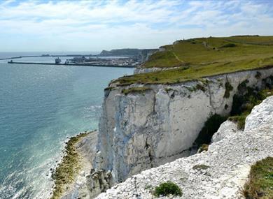 White Cliffs of Dover