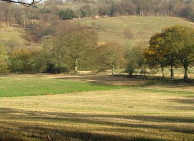 Abinger Roughs and Netley Park