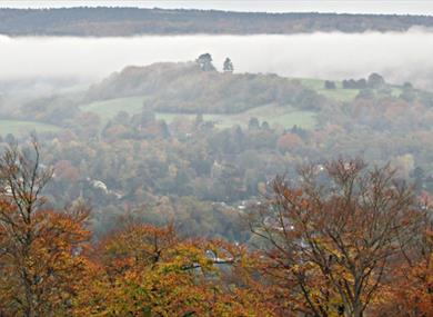 Denbies Hillside