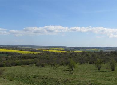 Stockbridge Down, Hampshire