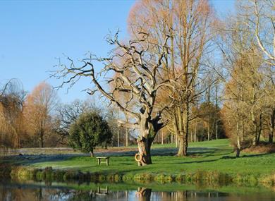 Holbury Lane Trout Fishery