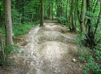 The Cuckoo Trail, Wealden