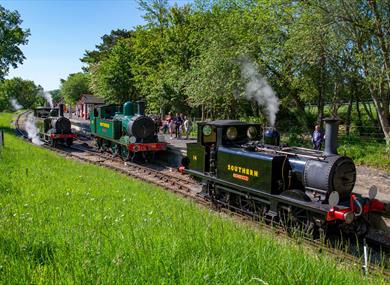 Isle of Wight Steam Railway