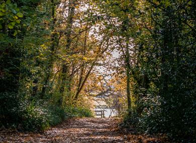 River Hamble Country Park