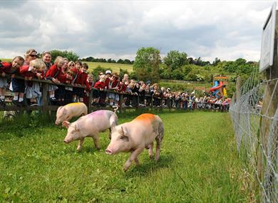 Bocketts Farm