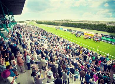 Brighton Racecourse