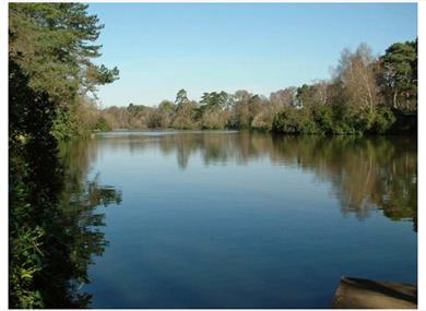 California Country Park