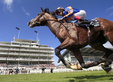 Epsom Downs Racecourse