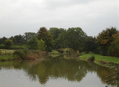 College Farm Fishing