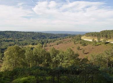 View over the Devils Punchbowl in Hindhead Surrey