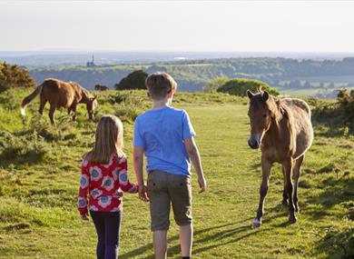 Time For Worthing  Cissbury Ring ponies kids