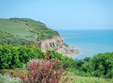 Hastings Country Park Nature Reserve