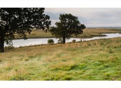 Elmley Marshes Nature Reserve