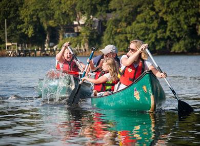 New Forest Activities