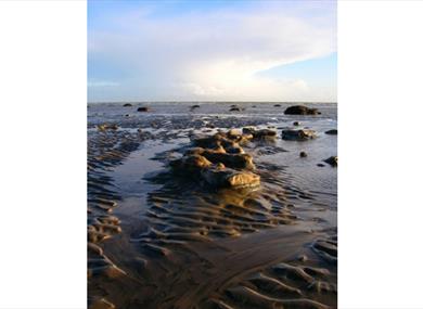 Fossil hunting at Bognor Regis Beach