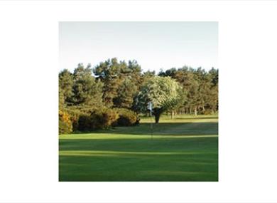 Frilford Heath Golf Club