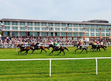 Lingfield Park Racecourse