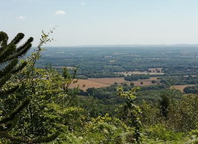 Leith Hill