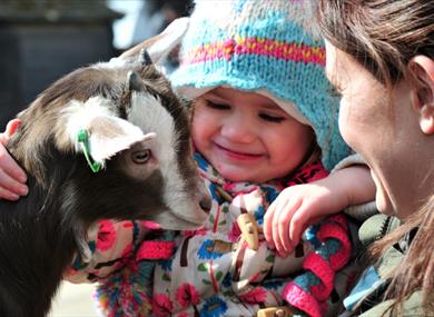 Kent Life Heritage Farm Park