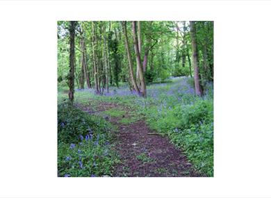 Oare Gunpowder Works County Park