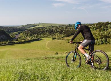 Mountain Biking at Queen Elizabeth Country Park