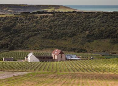 Rathfinny Wine Estate