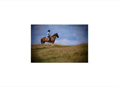 Sussex Equestrian Club