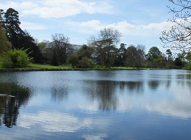 The Vyne Lake