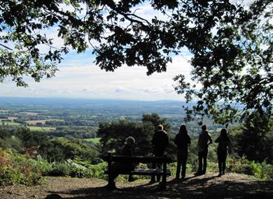 View North East from Black Down, credit South Downs National Park Authority photo library.