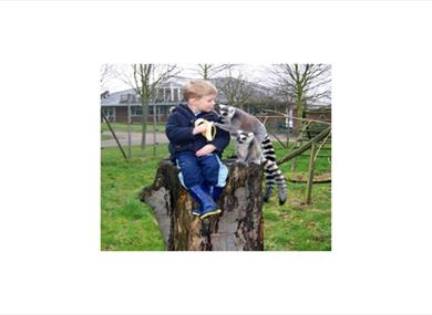 Wingham Wildlife Park