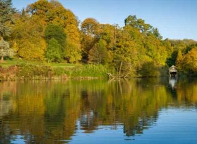 Winkworth Arboretum, Godalming, Surrey