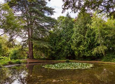 Wychwood Wild Garden