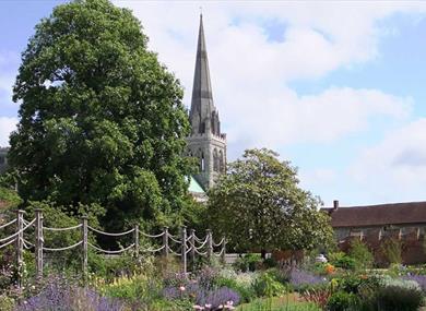 View of Chichester Cathedral in Bishop's Palace Gardens
