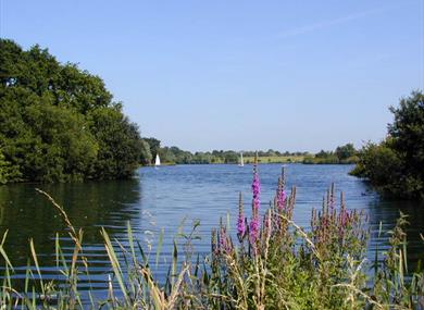 Dinton Pastures