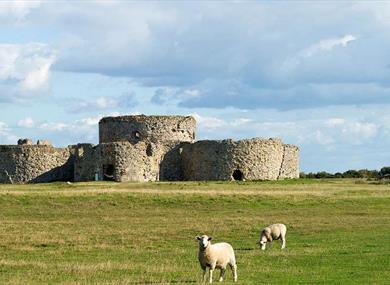 Camber Castle