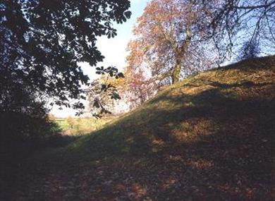 Deddington Castle site