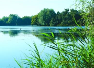 Lake at Hardwick Parks