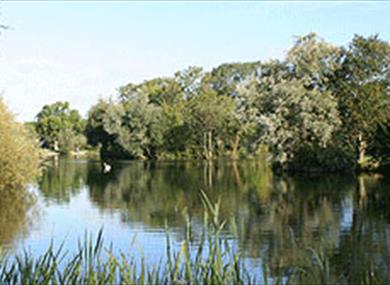 Lechlade and Bushyleaze Trout Fisheries - Trout Fishing, Fly Fishing in the  glorious Cotswolds, Gloucestershire, UK, England.