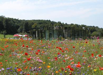 Reigate Priory Park