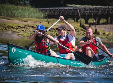 New Forest Activities Team Building