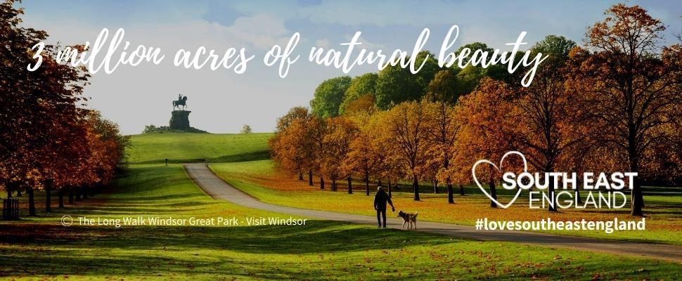 Beautiful autumnal image of the Long Walk, Great Windsor Park, Windsor, Berkshire - credit Visit Windsor.  Discover 3 million acres of natural beauty across South East England.
