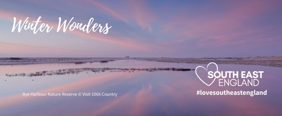 Rye Harbour Nature Reserve