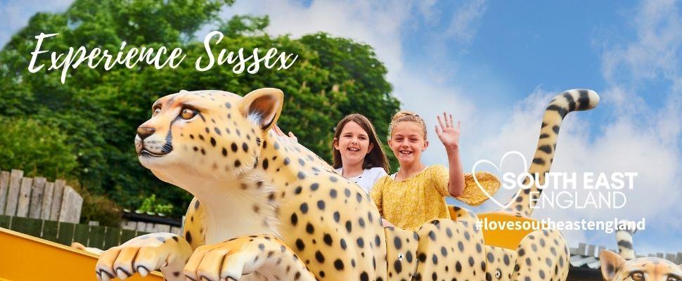 Make memories that last and enjoy a great family day out at the award-winning Drusillas Park, home to over one hundred exotic animals, including sloths, meerkats, monkeys, penguins, red pandas, giant anteaters and more!